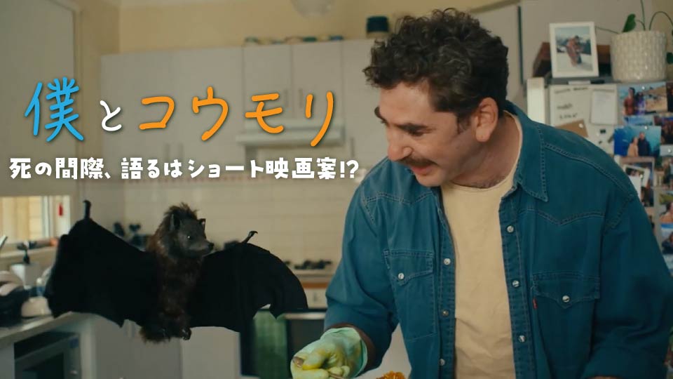 【松尾桂樹】吹き替え「僕とコウモリ」にアレックス役で出演